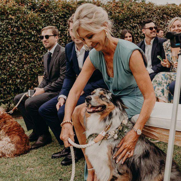 Rivendell_dogs