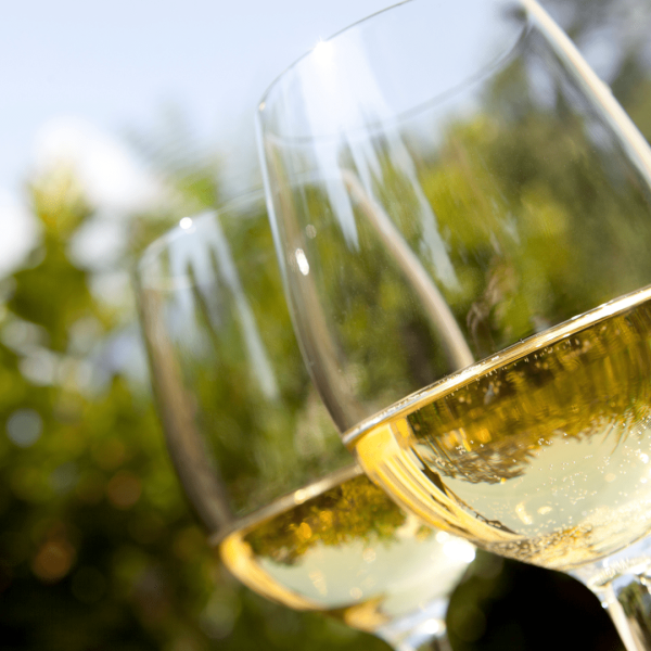 Rivendell Estate Chardonnay 2023 - Image 2